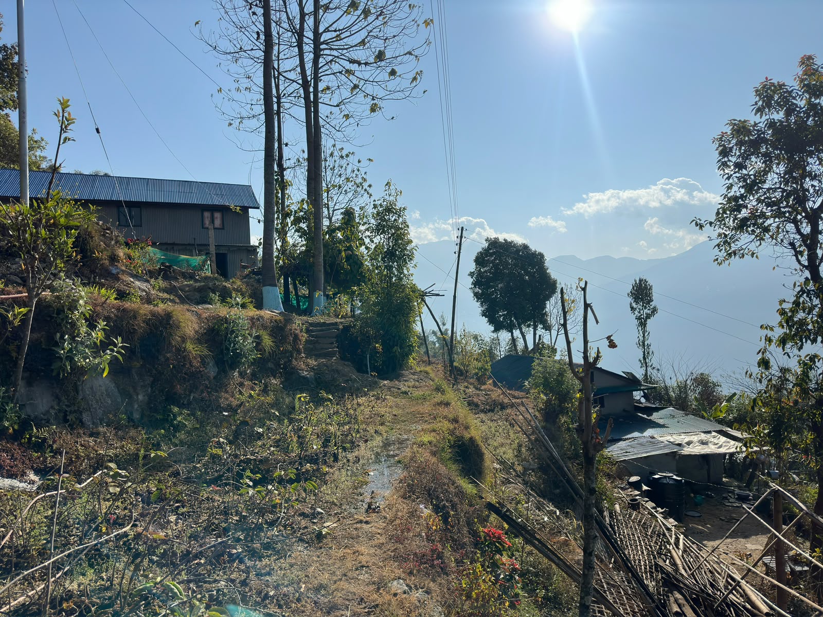 Farm houses in the coffee hills